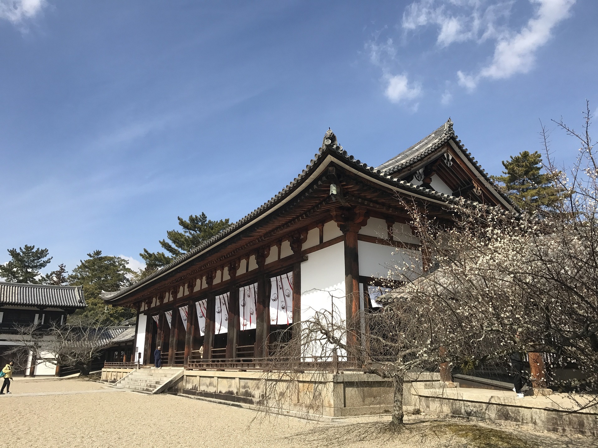 法隆寺の謎と歴史を解明