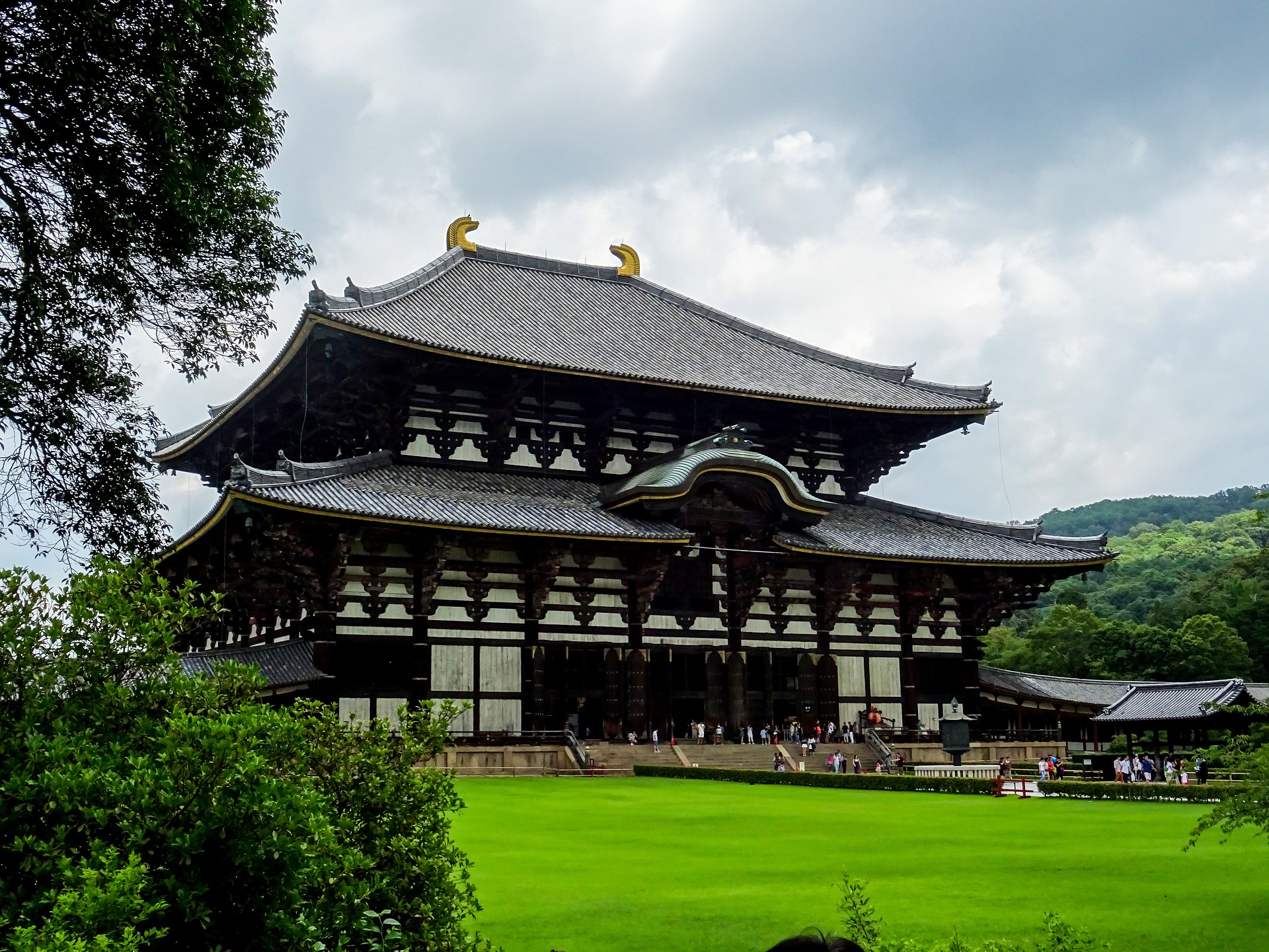 東大寺と奈良公園