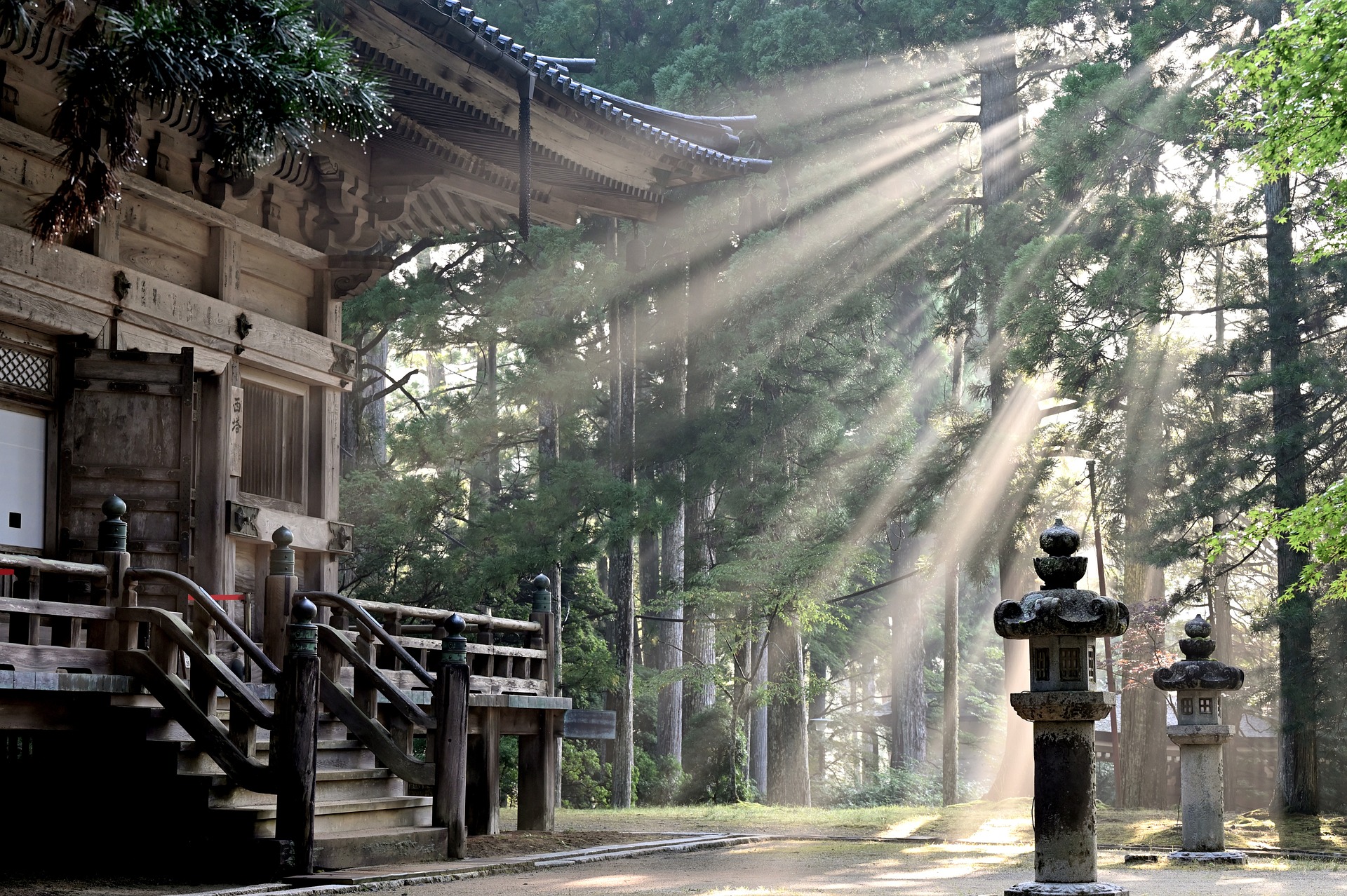 高野山寺院巡りガイド